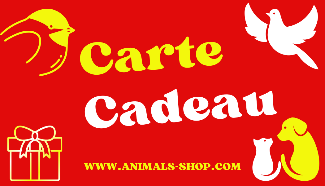 E-CARTE CADEAU