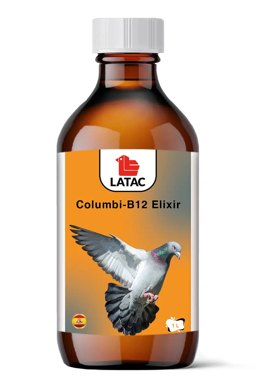 columbi B12 POUR PIGEON