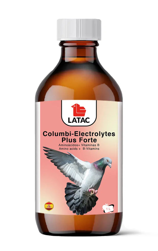 COLUMBI-ELECROLYTES PLUS FORTE 1L