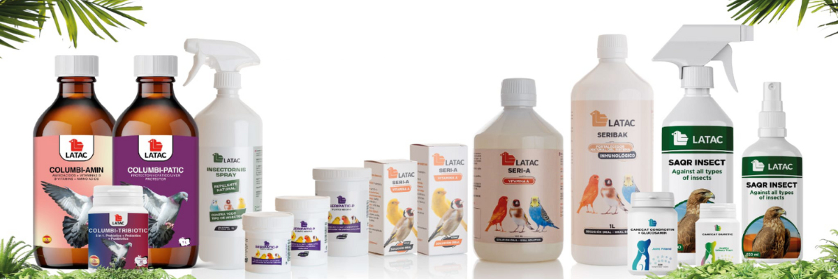 animals-shop