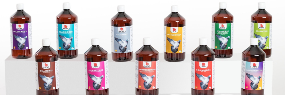 animals-shop