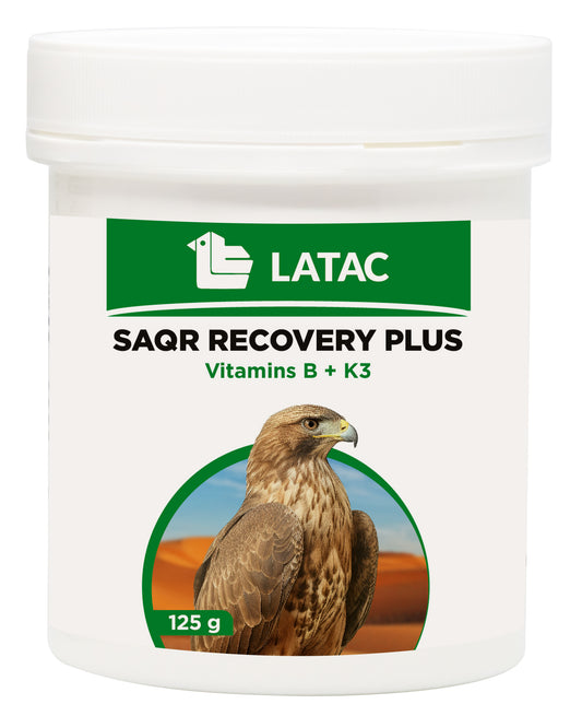 RECUPERACIÓN SAQR PLUS