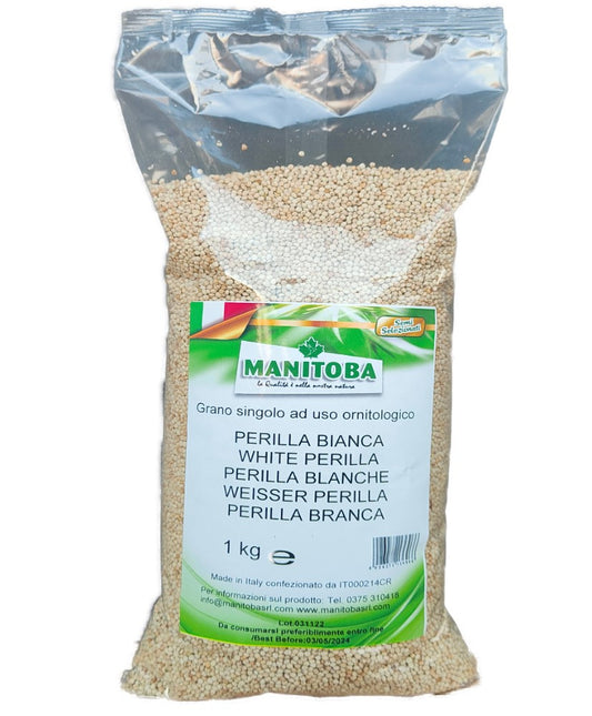 Perilla blanc Manitoba 1kg