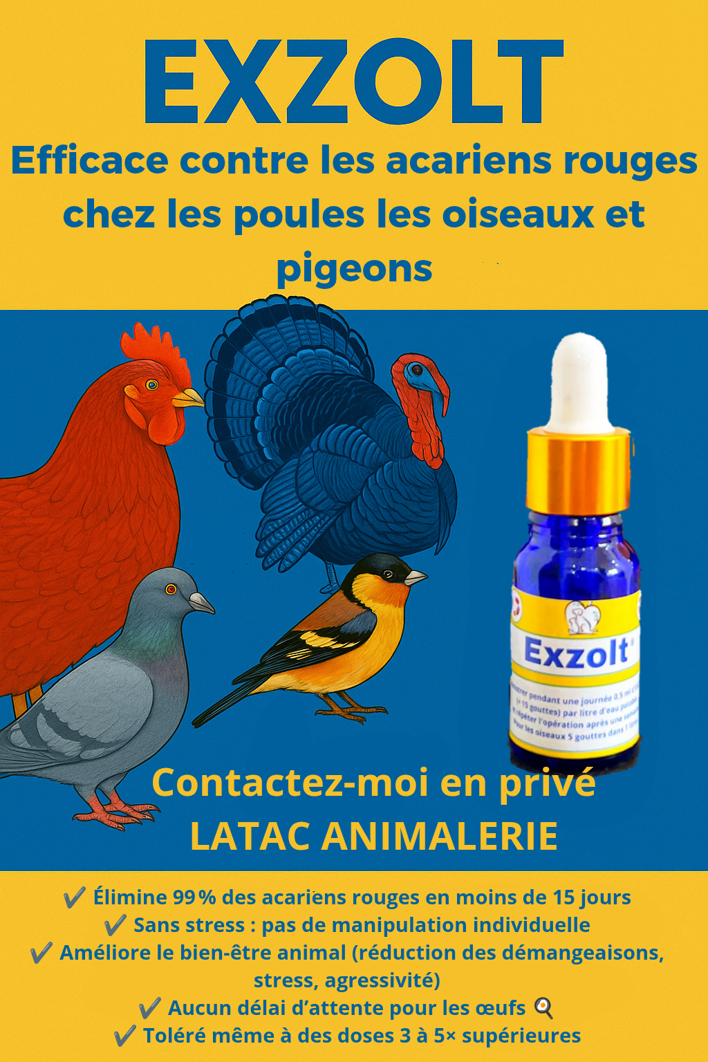 Anti poux ( EX )