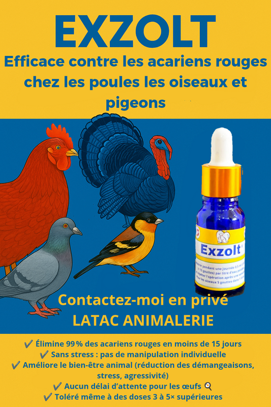 Anti poux ( EX )