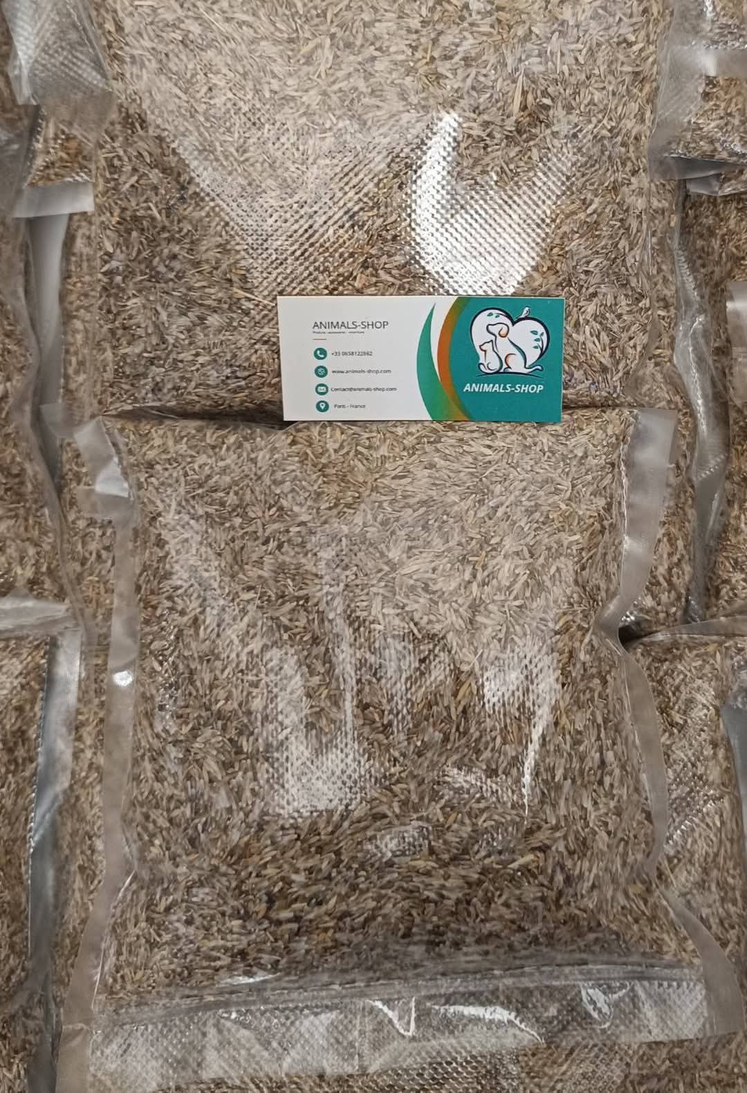 graines laiteux Galactites tomentosa