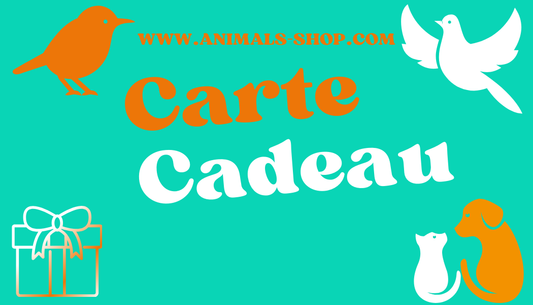 E-CARTE CADEAU